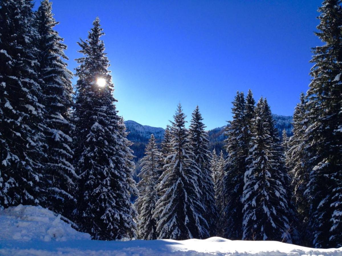 Alpino 3* Varena